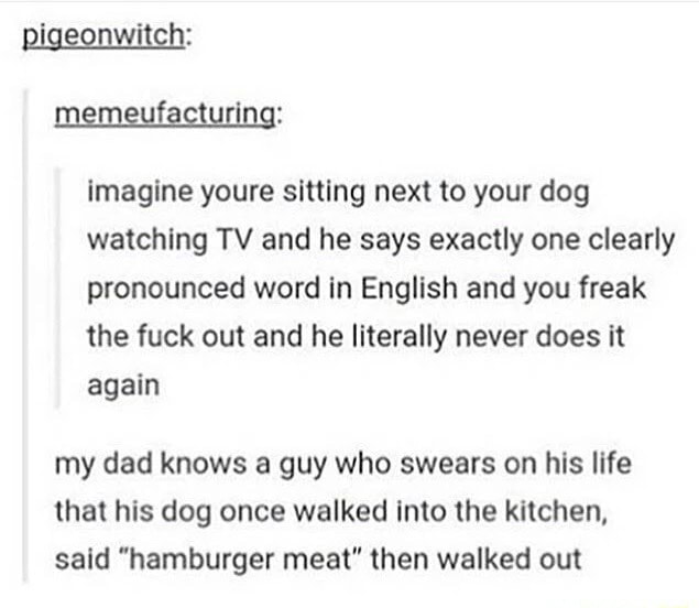 Imagine Youre Sitting Next To Your Dog Watchlng TV And He Says Exactly imagine-youre-sitting-next-to-your-dog-watchlng-tv-and-he-says-exactly