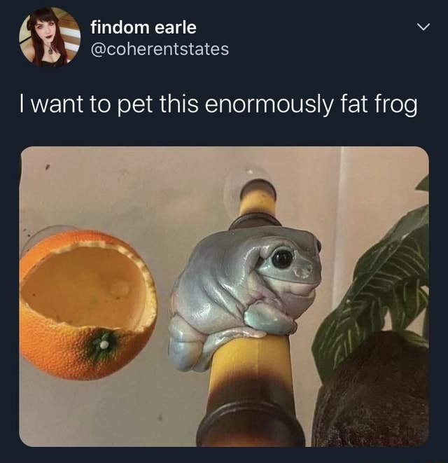 Fat Froge b findom earle coherentstates I want to pet this