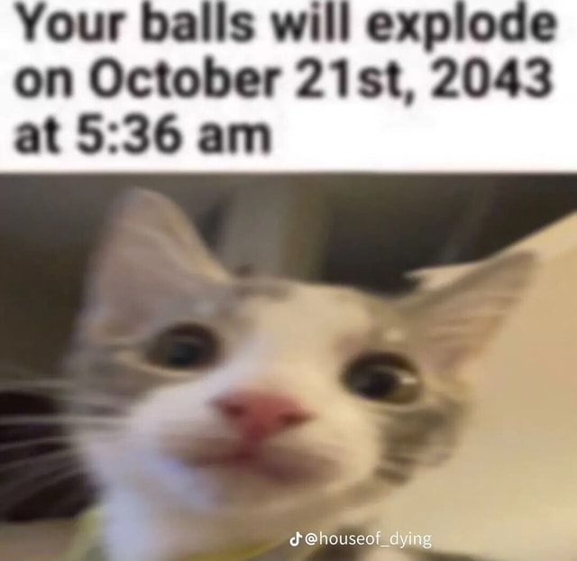 Your Balls Will Explode On October 21st 2043 At Am IFunny Brazil your-balls-will-explode-on-october-21st-2043-at-am-ifunny-brazil
