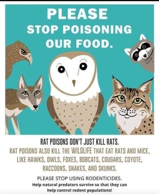 PLEASE STOP POISONING OUR FOOD. RAT POISONS DON'T JUST KILL RATS. RAT