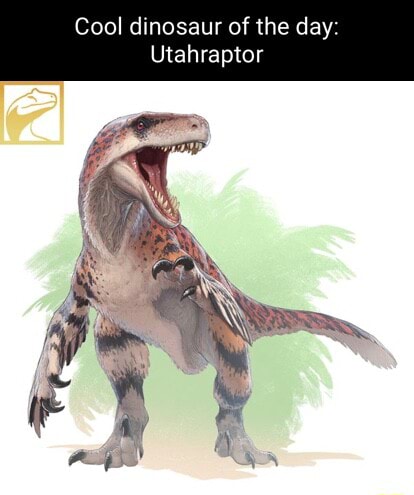 Cool dinosaur of the day: Utahraptor - iFunny