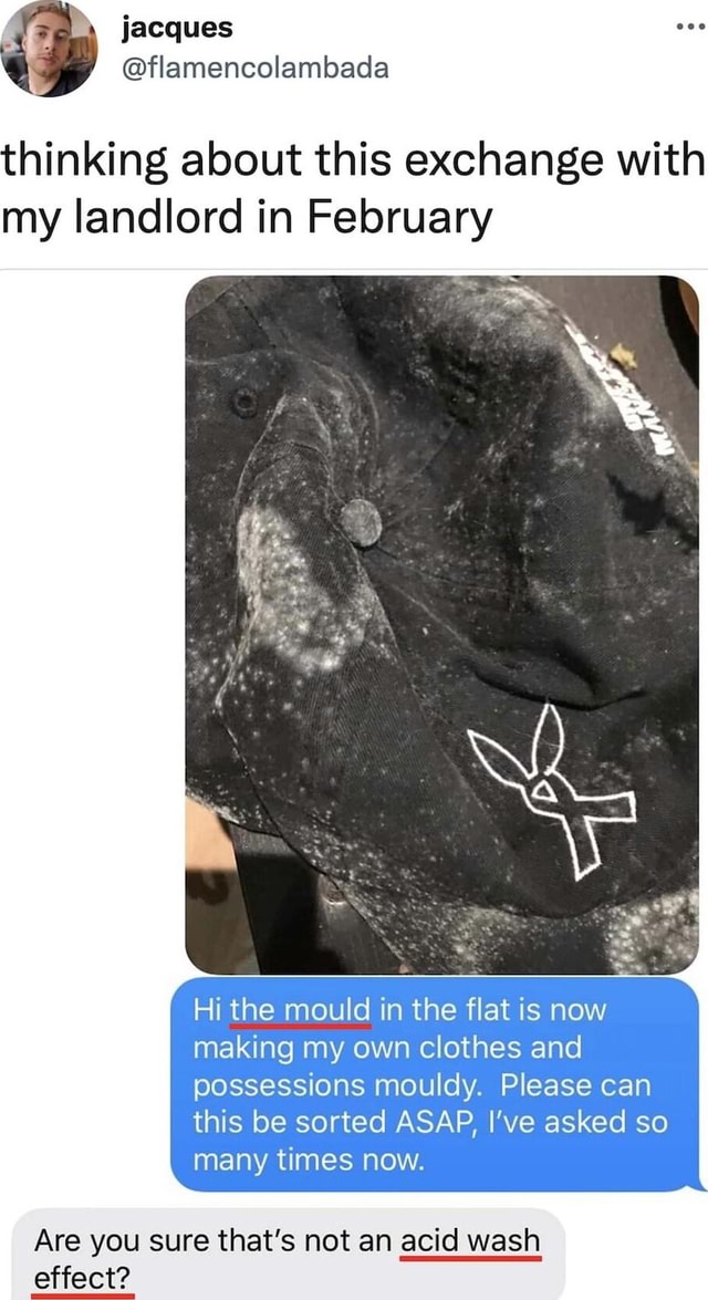 Thinking About This Exchange With My Landlord In February Hi The Mould thinking-about-this-exchange-with-my-landlord-in-february-hi-the-mould