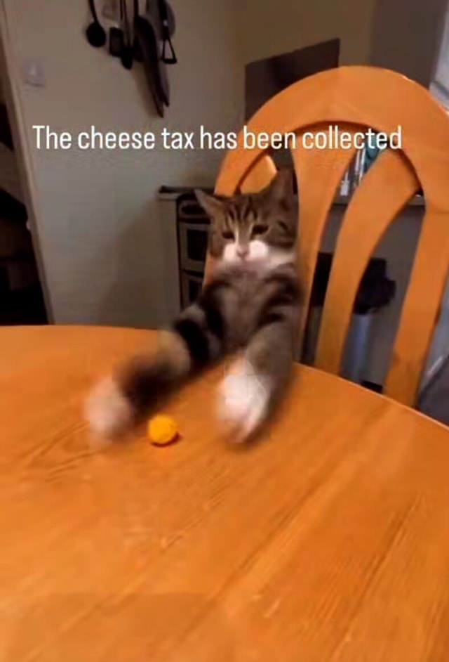 The cheese tax has been ce iFunny
