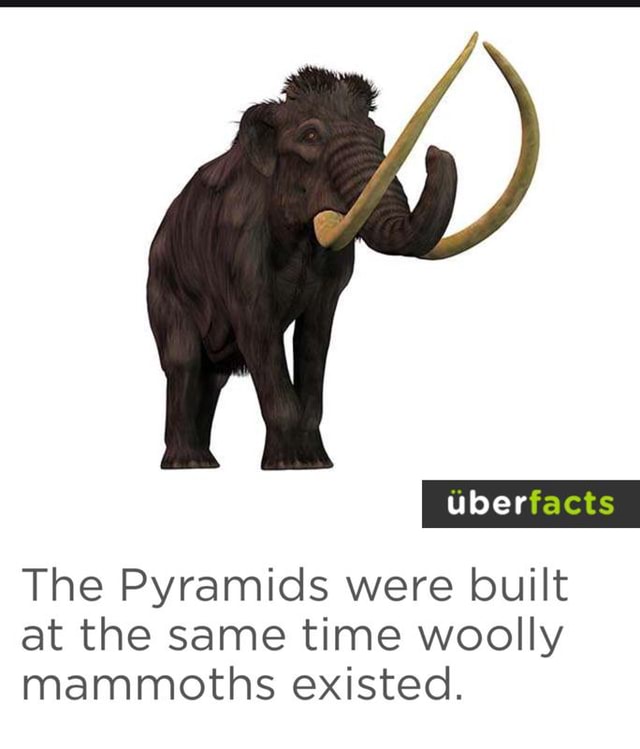The Pyramids were built at the same time woolly mammoths existed. )