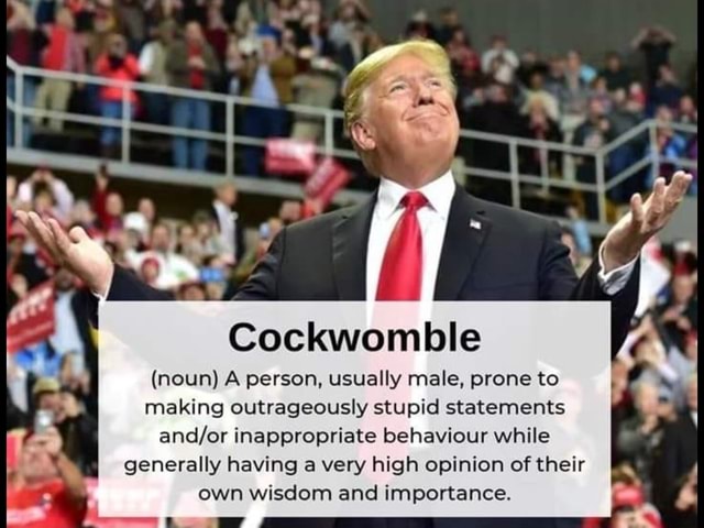 cockwomble-noun-a-person-usually-male-prone-to-making-outrageously