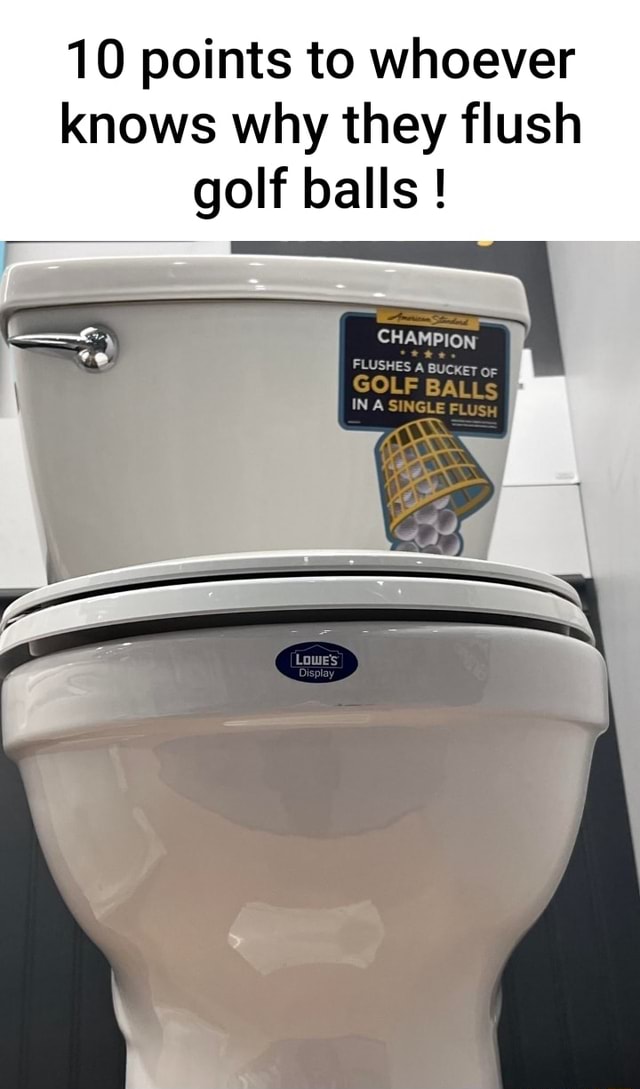 10 points to whoever knows why they flush golf balls ! FLUSHES BUCKET