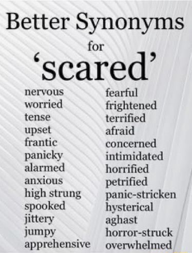 Better Synonyms for 'scared' nervous worried tense upset frantic ...