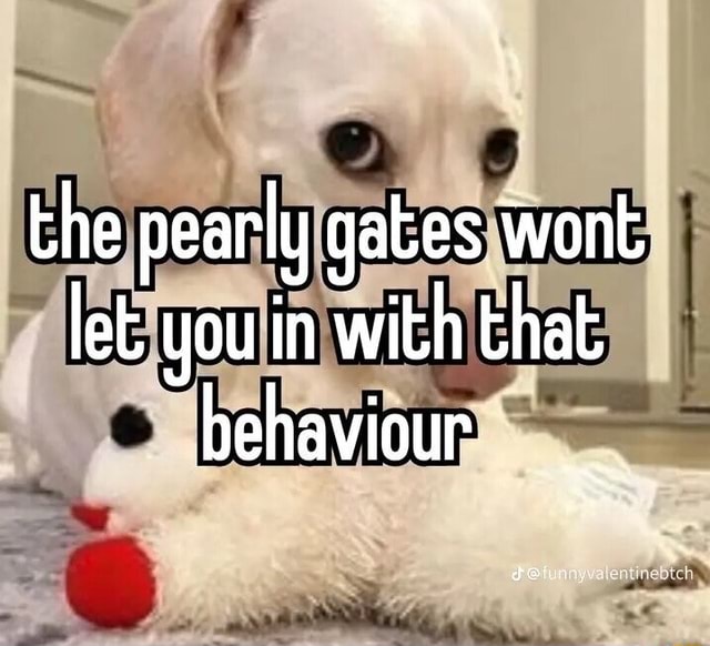 The pearly gates wont let you in with that behaviour iFunny