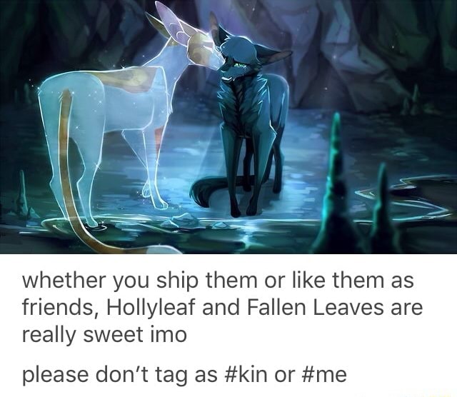 Whether You Ship Them Or Like Them As Friends Hollyleaf And Fallen Leaves Are Really Sweet Imo Please Don T As Kin Or Me Ifunny