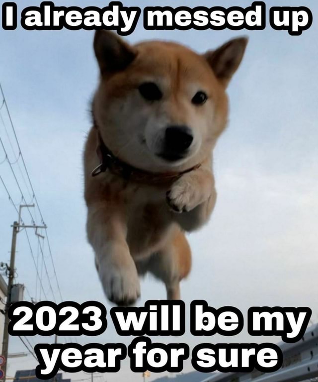 Already messed up 2023 will be my year for sure iFunny