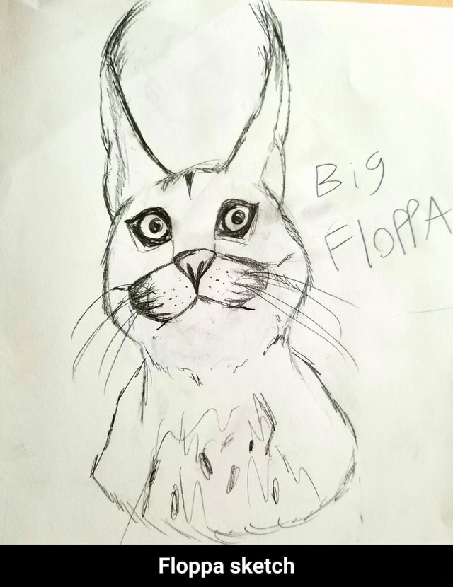 Of Floppa sketch - Floppa sketch - iFunny