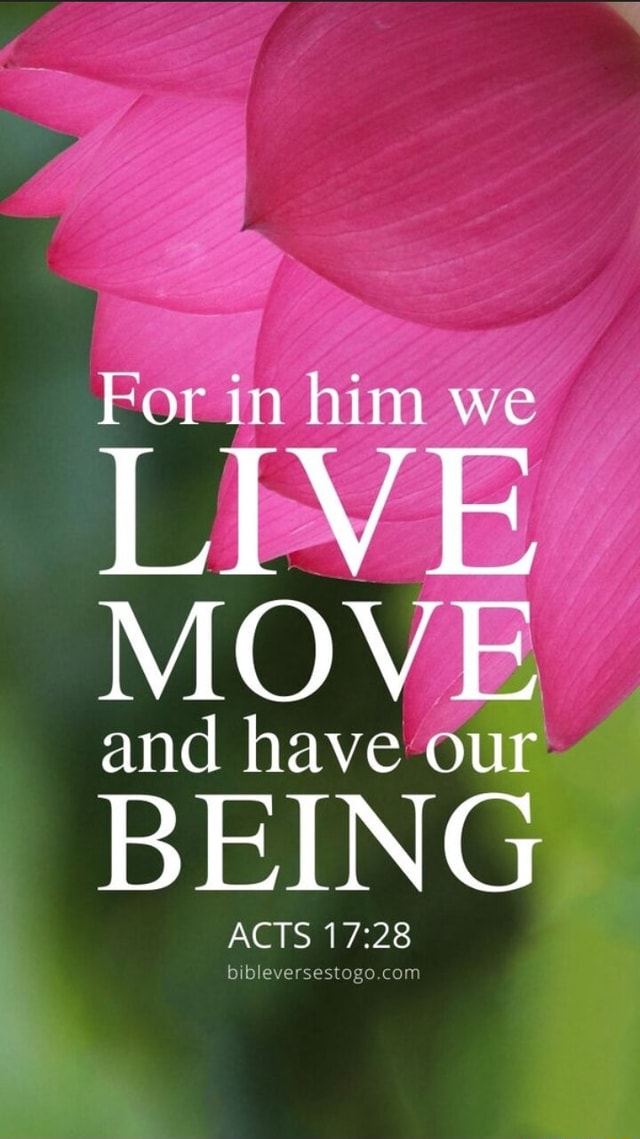 for-in-him-we-live-move-and-have-our-being-acts-bibleversent-ifunny