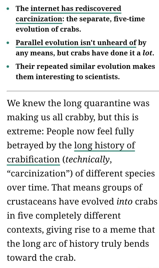 Feelin' a bit crabby? The has rediscovered carcinization