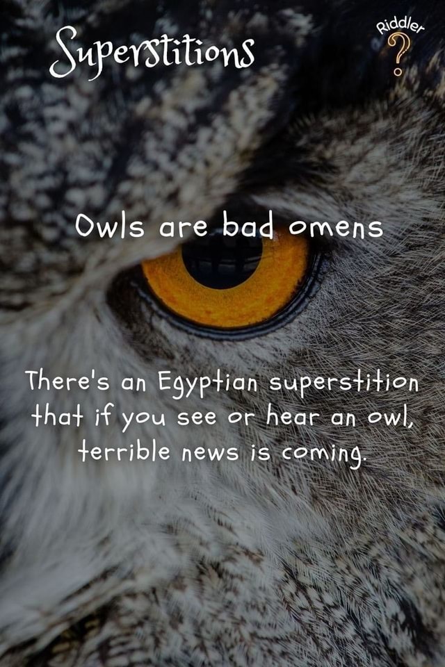 Addle, Superstitions Owls are bad omens There's an Eqyptian