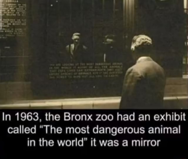 In 1963, The Bronx Zoo Had An Exhibit Called "The Most Dangerous Animal ...