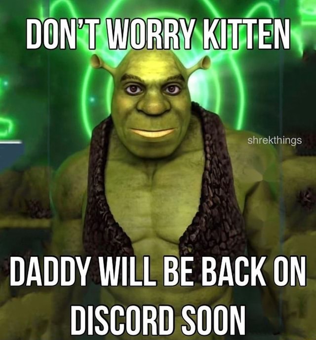 DON'T WORRY KITTEN DADDY WILL BE BACK ON DISCORD SOON - iFunny