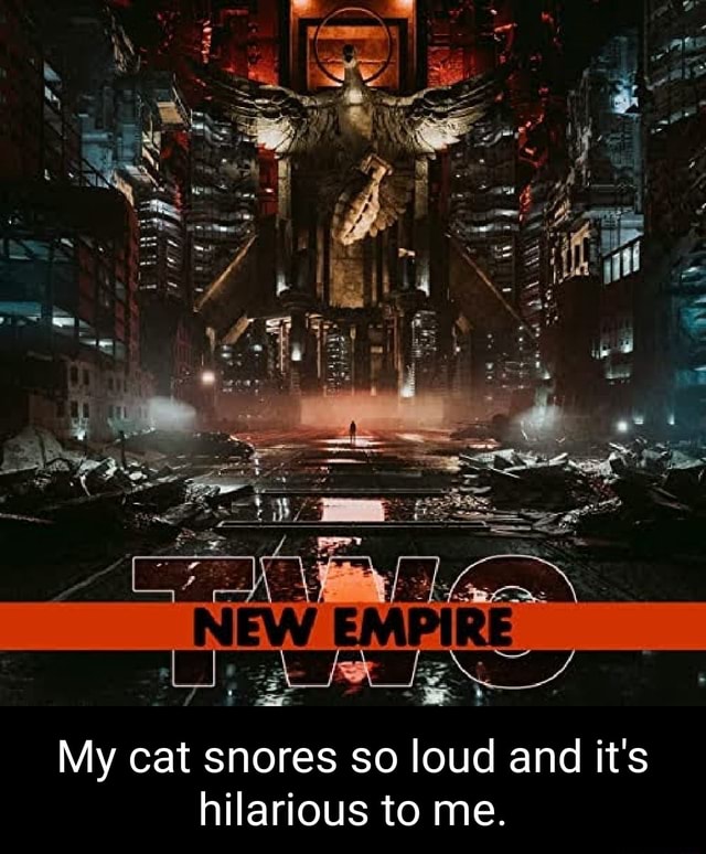 My Cat Snores So Loud And It S Hilarious To Me IFunny   45c027dfedc03313827995ab1db0afd05b2041dc59e793d7f2c5474938bd3c15 1 