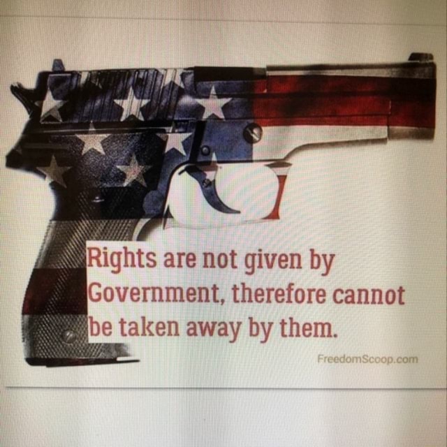 Rights are not given by Government, therefore cannot , be taken away by ...