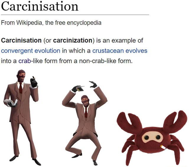 Carcinization Examples There are still a few memes left among the crabs - Carcinisation From ...