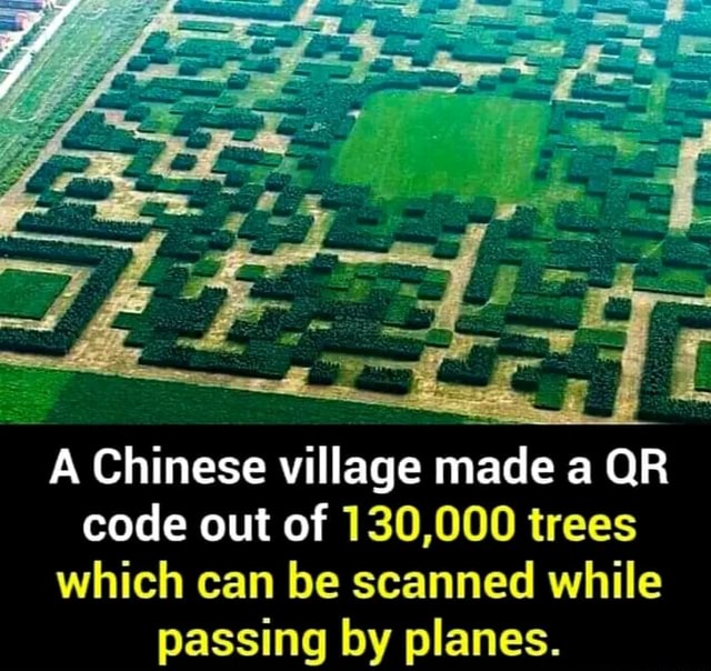 A Chinese village made a QR code out of 130,000 trees which can be ...