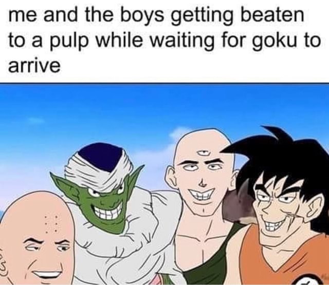 me-and-the-boys-getting-beaten-to-a-pulp-while-waiting-for-goku-to