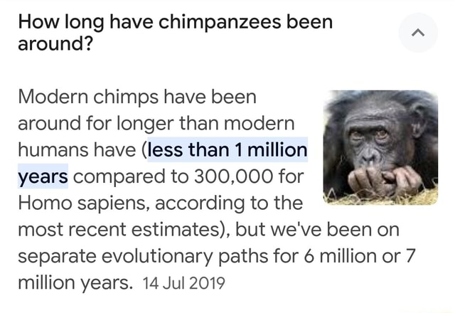 How long have chimpanzees been around? Modern chimps have been around