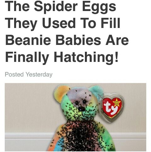 ty beanie babies filled with spider eggs