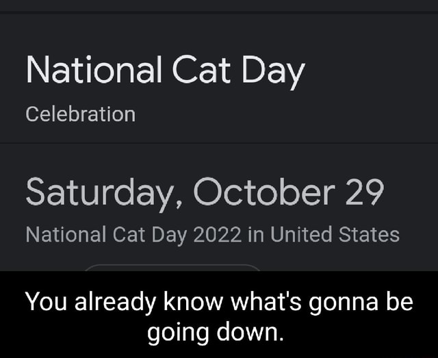 National Cat Day Celebration Saturday, October 29 National Cat Day 2022