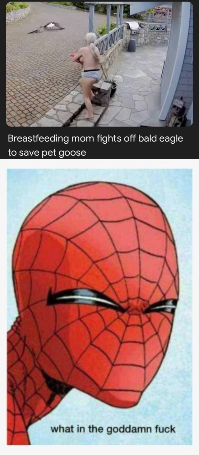 Breastfeeding mom fights off bald eagle to save pet goose what in the