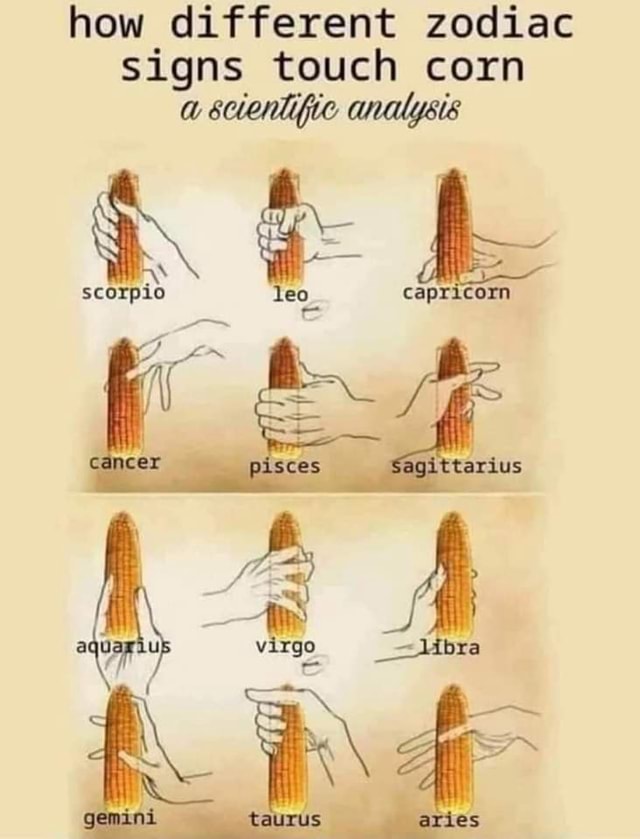 How Different Zodiac Signs Touch Corn A Scientific Analysis Scorpio Leo 