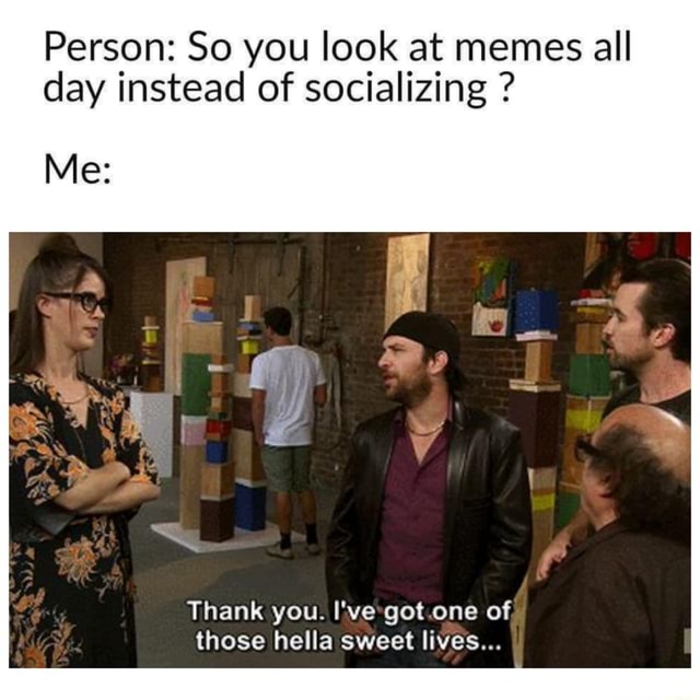 Person: So You Look At Memes All Day Instead Of Socializing ? Me: Thank 