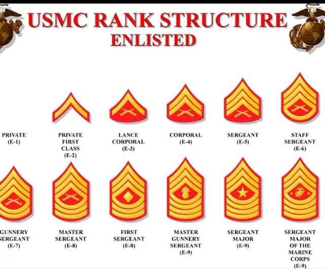 FU MC RANK STRUCTURE ENLISTED - )