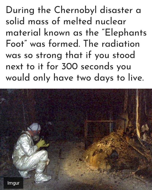 During the Chernobyl disaster a solid mass of melted nuclear material