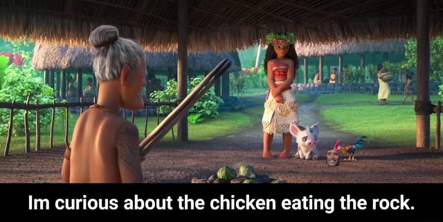 Im Curious About The Chicken Eating The Rock Im Curious About The Chicken Eating The Rock