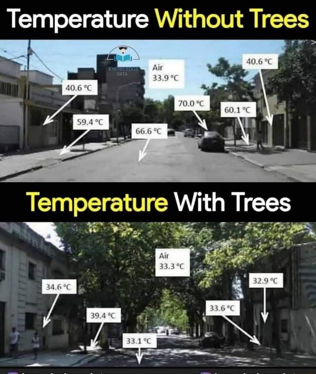 Temperature Without Trees lemperature With Trees )