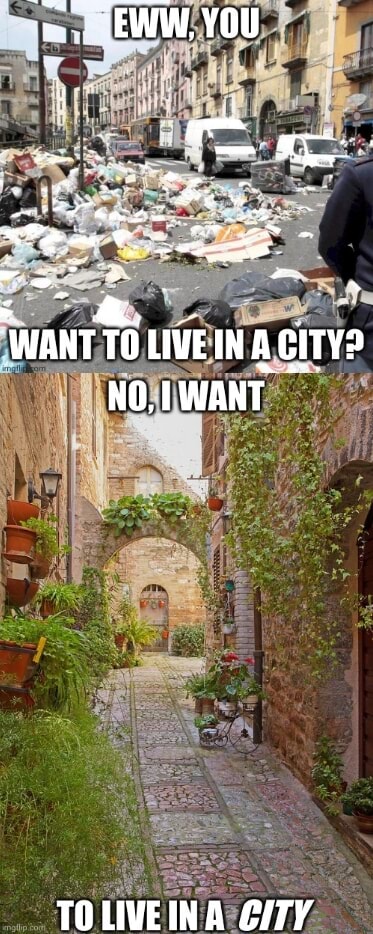 EWW. YOU WANT TO LIVEIN AGITY? NO, I WANT TOLIVEINA @/TY - iFunny