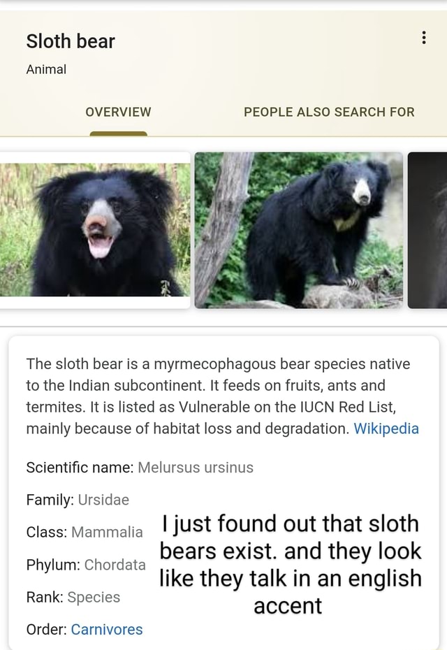 The sloth bear is a myrmecophagous bear species native to the Indian ...