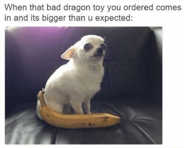 Dragon toy bad 18 More