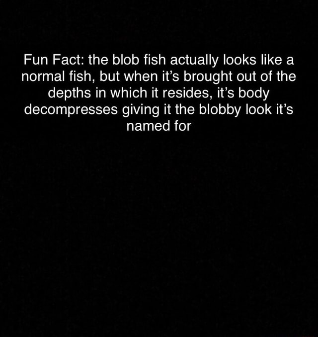 Fun Fact the blob fish actually looks like a normal fish, but when it