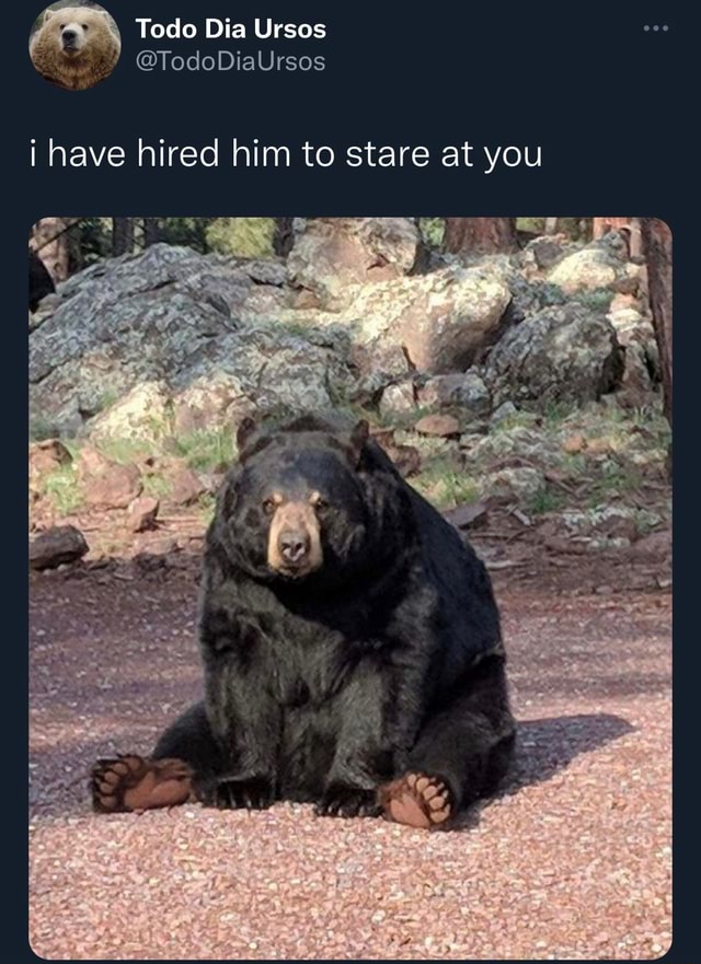 I have hired him to stare at you - iFunny