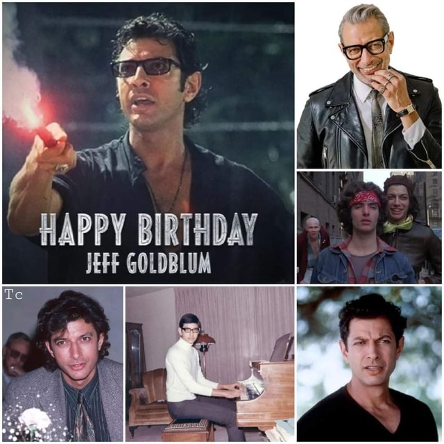 Happy 69th Birthday to Jeff Goldblum - HAPPY BIRTHDAY JEFF GOLDBLUM