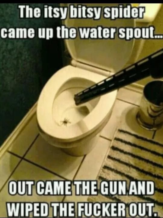 The Itsy Bitsy Spider Came Up He Water Spout Out Came The Gun And Fucker Out Ifunny