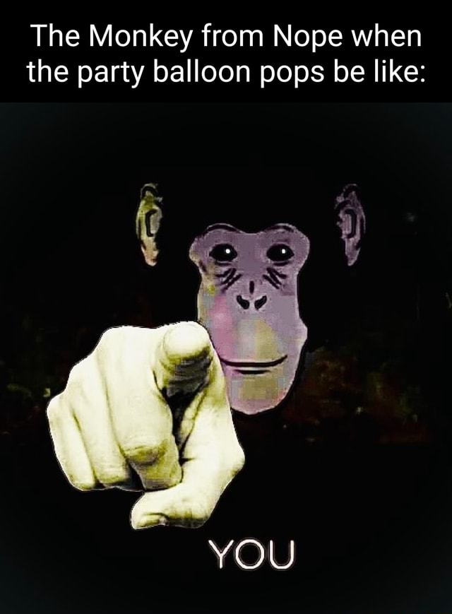The Monkey from Nope when the party balloon pops be like ot YOU )