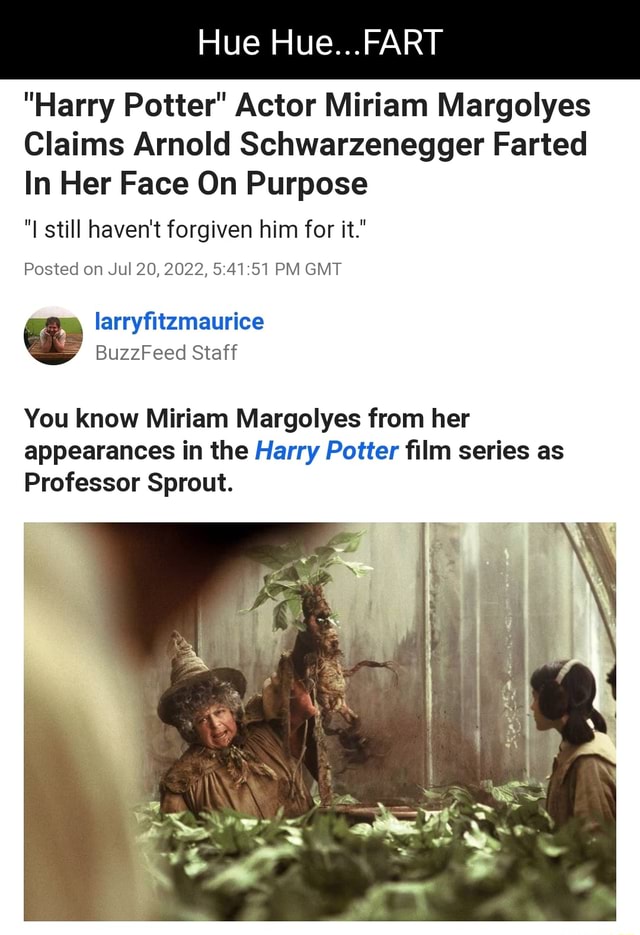 Hue Hue Fart Harry Potter Actor Miriam Margolyes Claims Arnold