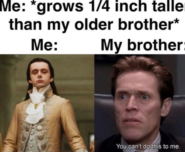 Than my older brother* Me: My brother You can't do this to me an - iFunny