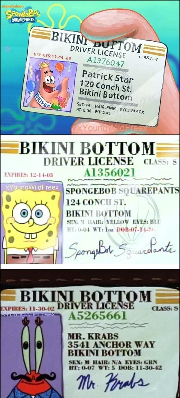 bikini-bottom-co-driver-license-cos-spongebob-uarepants-e-dede-ea-m-seal-anchor-way-bikini