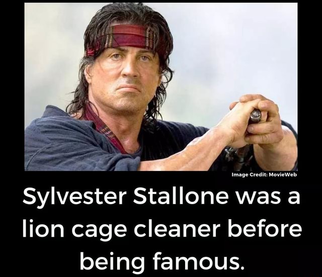 Sylvester Stallone was a lion cage cleaner before being famous. - iFunny