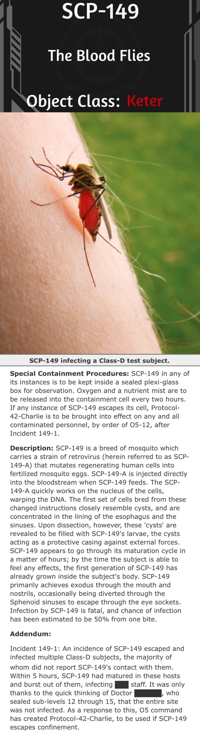 scp-149-the-blood-flies-object-class-scp-149-infecting-a-class-d-test