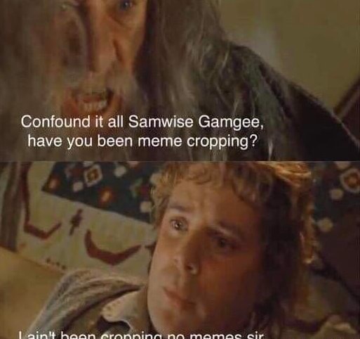 Confound it all Samwise Gamgee, have you been meme cropping? , - iFunny