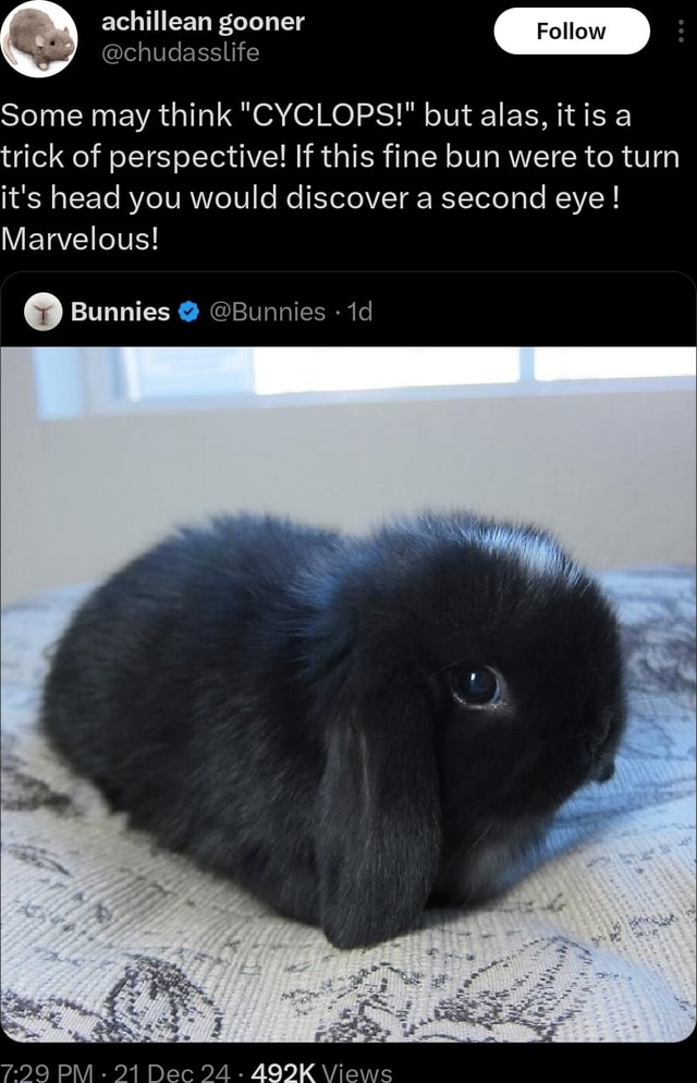 Achillean gooner Foll @chudasslife Some may think 